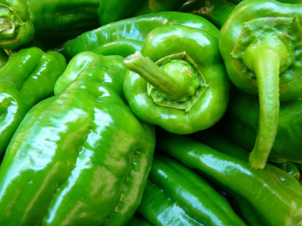 Bell peppers benefits for immune system, how bell peppers strengthen immunity naturally, vitamin C in bell peppers for immunity boost, immune-boosting properties of bell peppers, are bell peppers good for immune health