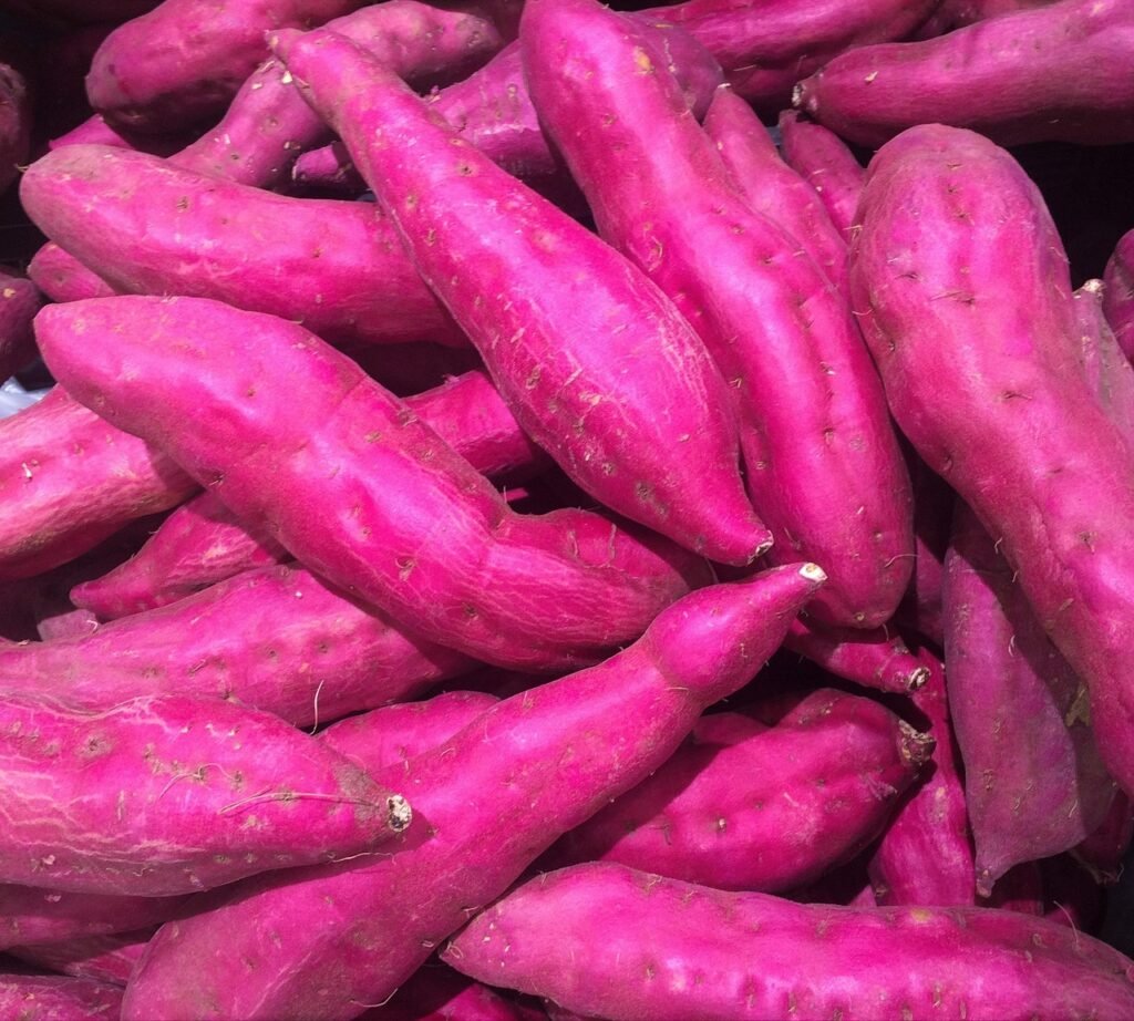 sweet potatoes benefits for immune system, immune-boosting vitamins in sweet potatoes,how sweet potatoes support immunity naturally, vitamin A in sweet potatoes for stronger immunity,nutrients in sweet potatoes that boost immune health